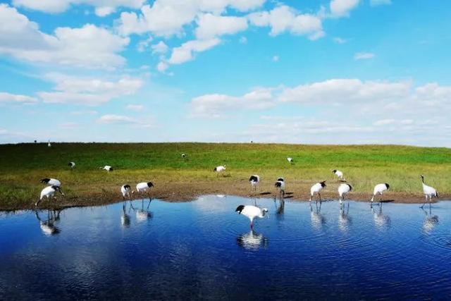 1714963665311957.jpg 314643d766cced1d2595956e774d8cb4_u=374606462,2186727588&fm=173&app=25&f=JPEG_w=640&h=427&s=F9270FD05EA80C0D7E183051030040F9.jpg