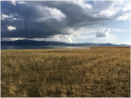 悄然离去的2017,让我不舍