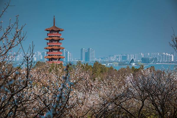 公示 大美淮海 大美徐州 全国摄影大赛揭晓 等级奖