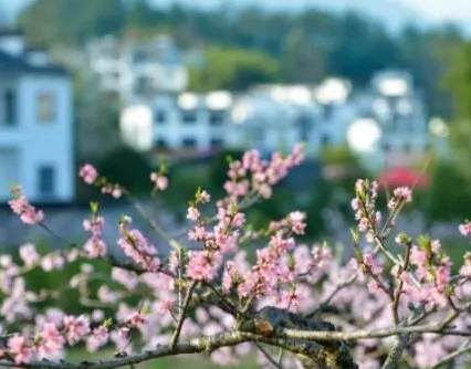 1741662160758321.png 1983e63339b6f8eb1a6fe080c1afc39.png