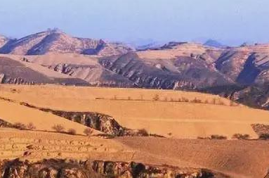 1743922692520297.png 1c5258e7f593443fdff30b071d1c415.png