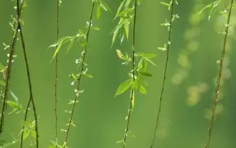 1745310586564030.png b4b0a487a522026362ad6a8db660ac6.png