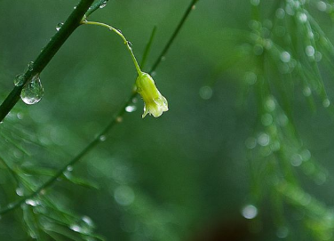 1745310614998513.png 9283c7b802eac0aa8d0ec02dd26d8d4.png