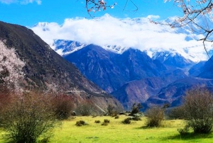 1746082999345361.png dd38dac21d8a7ad807b5cab58da3cb7.png