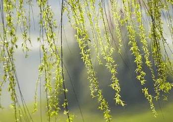 1746083066613872.png 97f0eb25ca3b8591e34972a35f97731.png