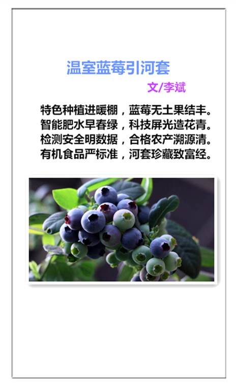 1746414341465780.jpg 未命名_副本.jpg