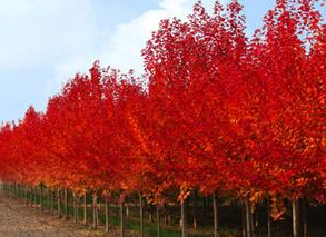 1746876047205642.png fd1da9e64d9348bcef2ff08f72538b3.png