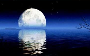 1746968684654331.png 3b0aa92f58a255f479a34b59434e62f.png